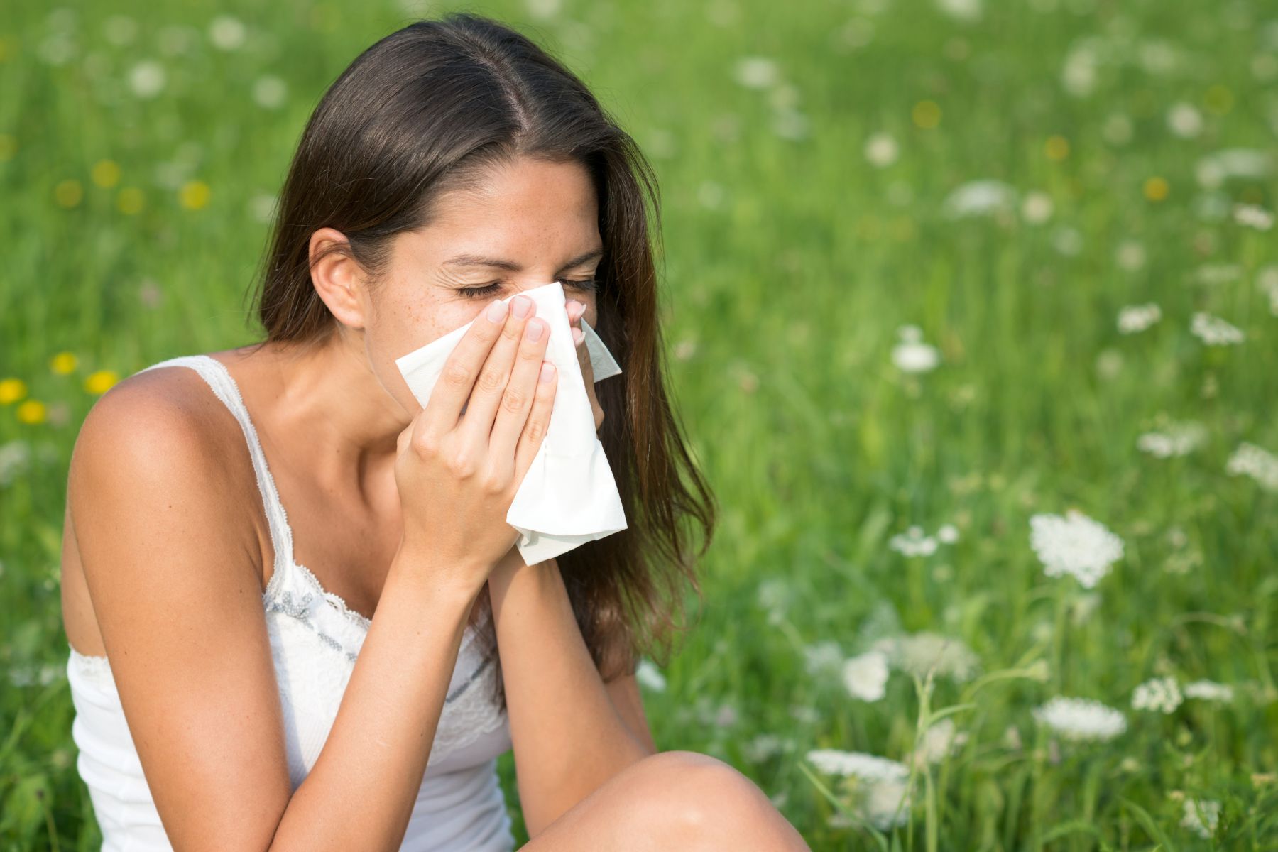 Understanding Hayfever and Its Causes